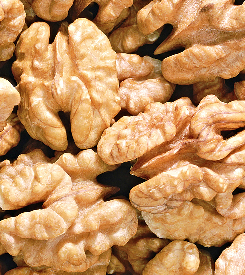 Nogal y nueces de Chile